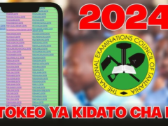 Jinsi ya kuangalia Matokeo ya Kidato cha Nne 2024